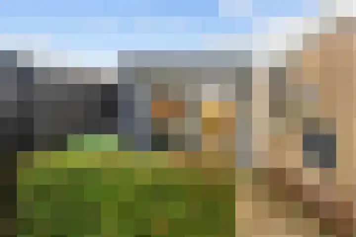 Het Anker 42 Leek thumbnail 29