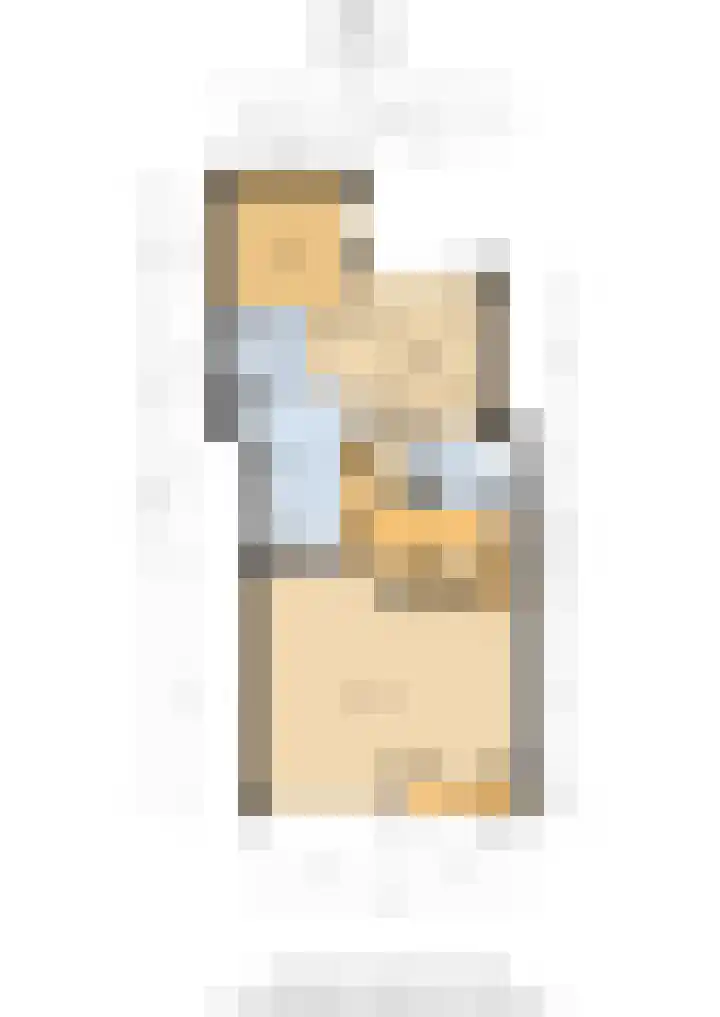 Het Anker 42 Leek thumbnail 30