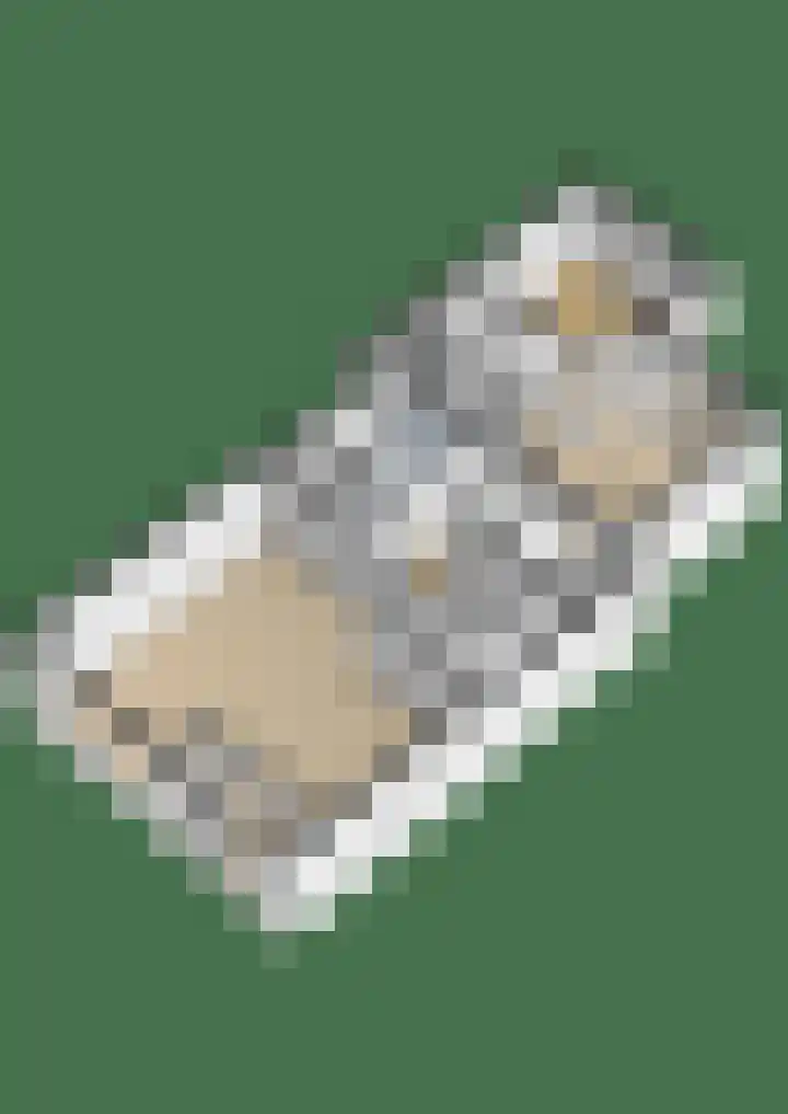 Het Anker 42 Leek thumbnail 31