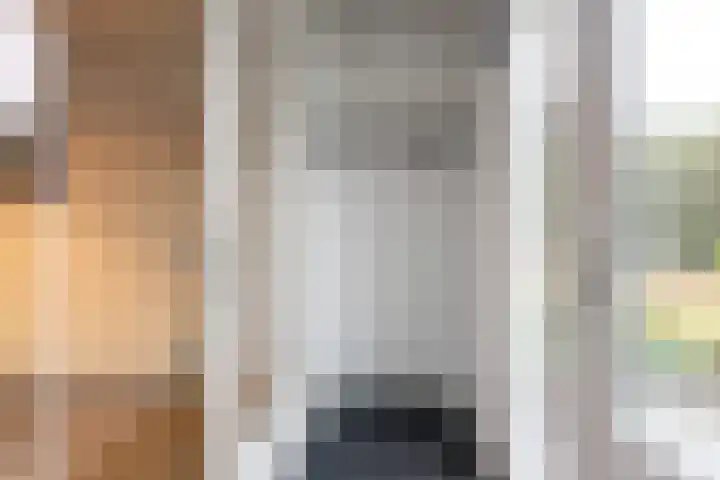 Het Anker 42 Leek thumbnail 6