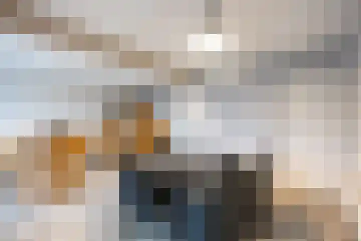 Het Anker 42 Leek thumbnail 7