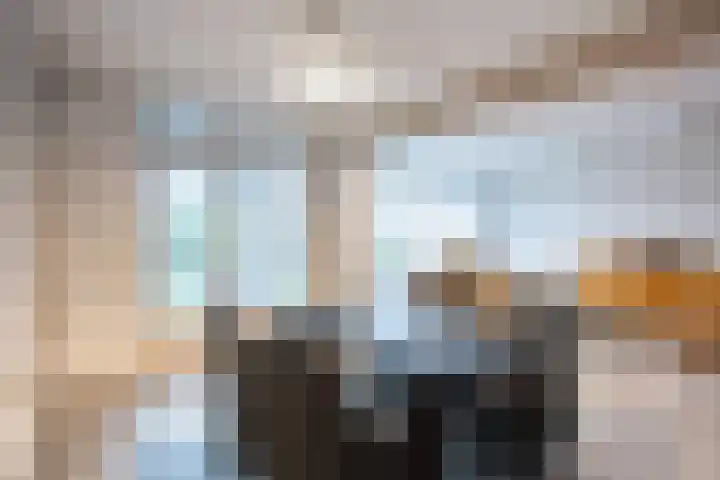 Het Anker 42 Leek thumbnail 8