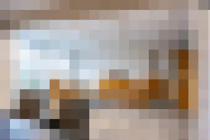 Het Anker 42 Leek thumbnail 9