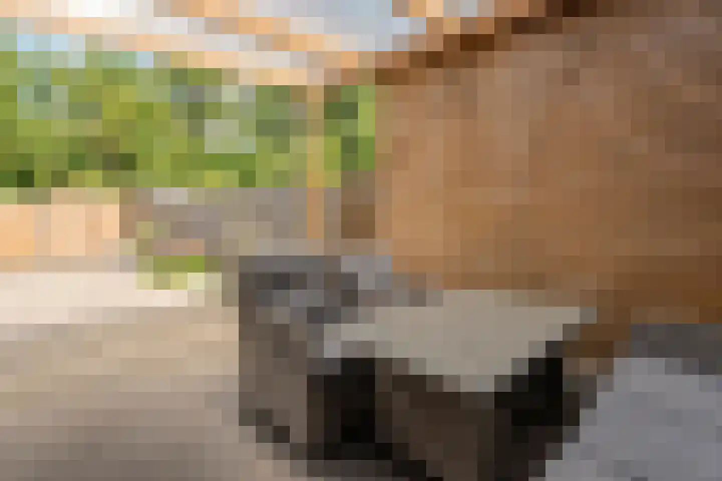 Het Anker 49 Hoogeveen thumbnail 34