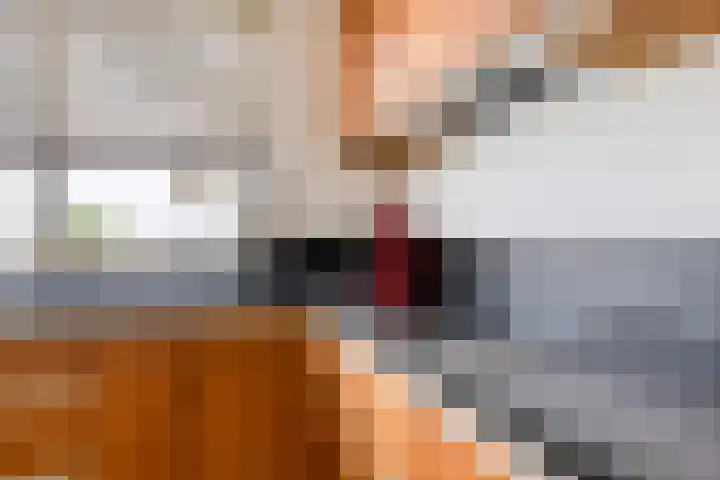 Het Anker 6 Kuinre thumbnail 12