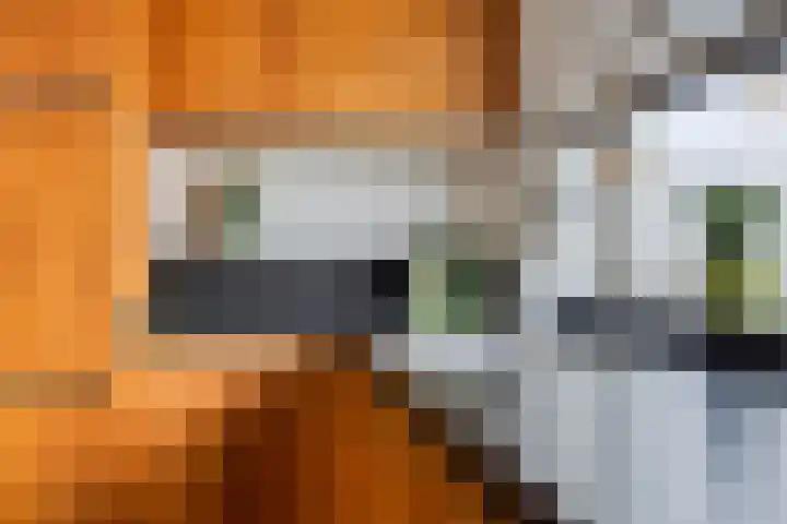 Het Anker 6 Kuinre thumbnail 13