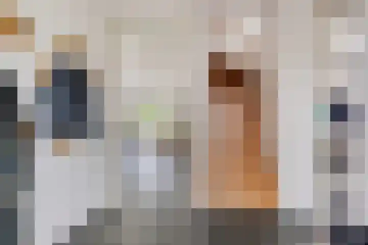 Het Anker 6 Kuinre thumbnail 24