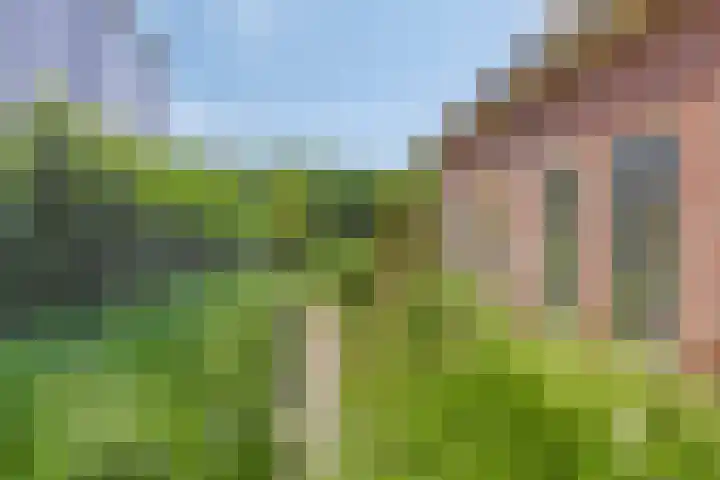 Het Anker 6 Kuinre thumbnail 42