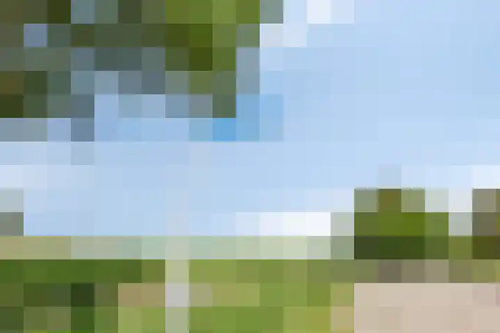 Het Anker 6 Kuinre thumbnail 46