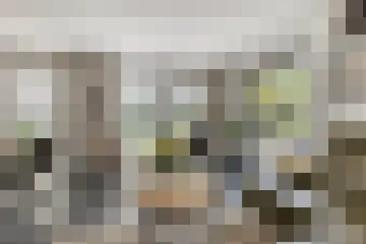 Het Anker 6 Kuinre thumbnail 6