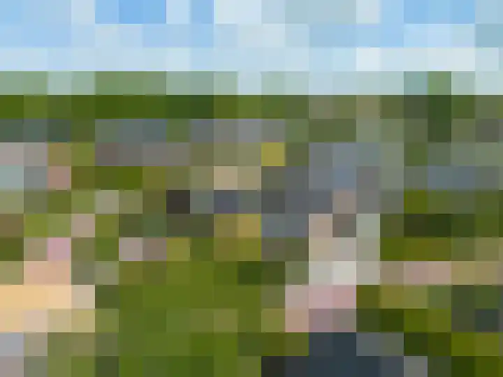 Het Anker 7 Leek thumbnail 10