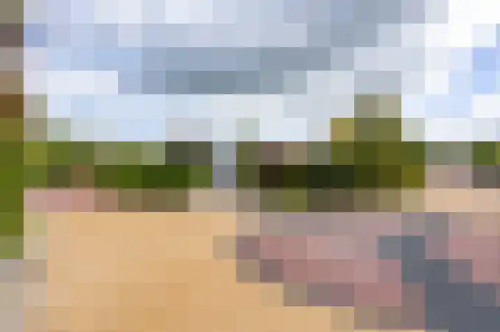 Het Anker 7 Leek thumbnail 12