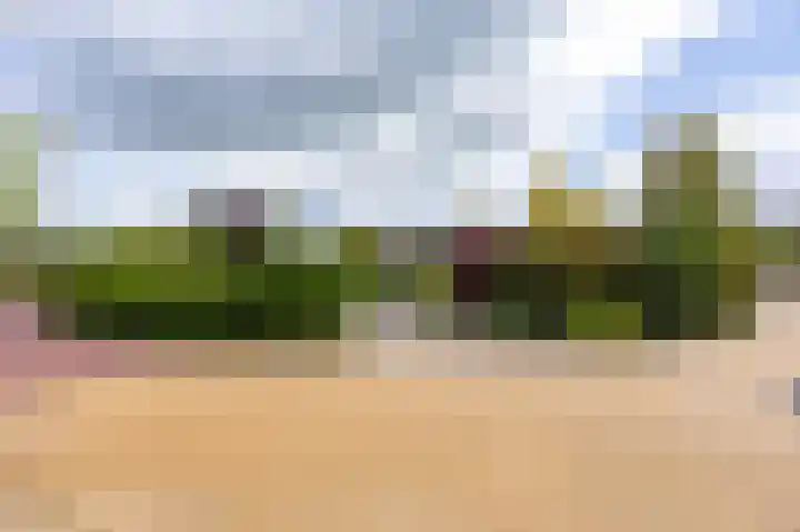 Het Anker 7 Leek thumbnail 13