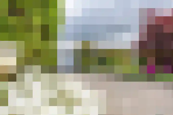 Het Anker 7 Leek thumbnail 14
