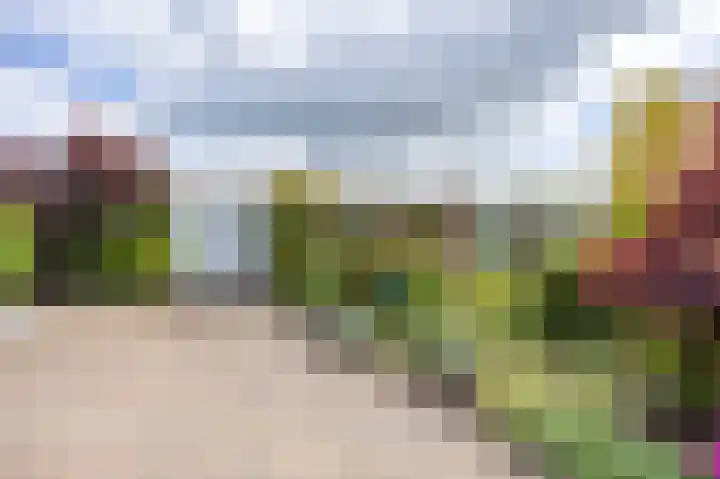 Het Anker 7 Leek thumbnail 15