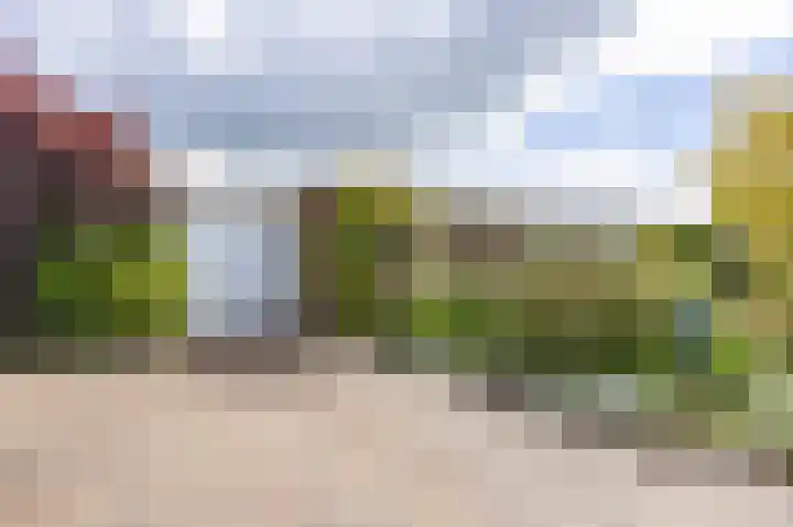 Het Anker 7 Leek thumbnail 16