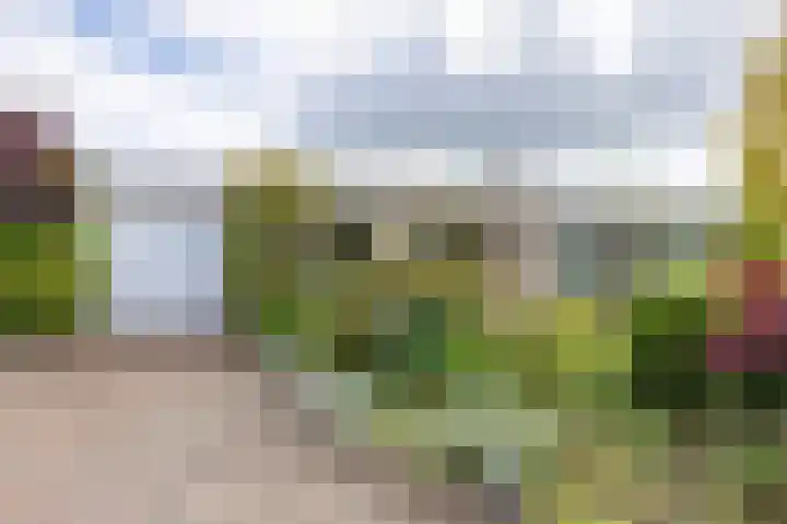 Het Anker 7 Leek thumbnail 17