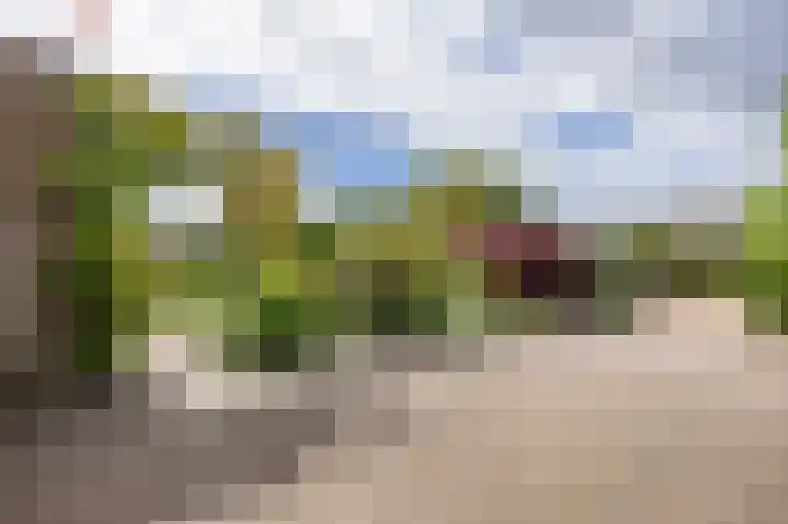 Het Anker 7 Leek thumbnail 18