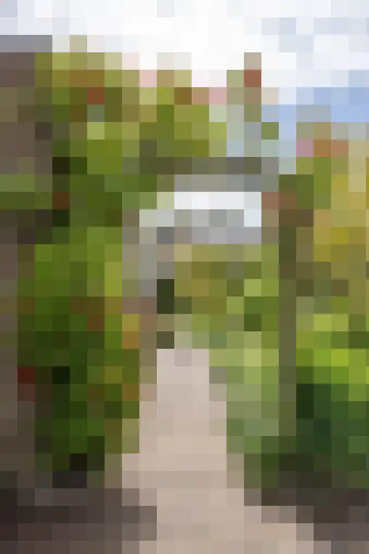 Het Anker 7 Leek thumbnail 19