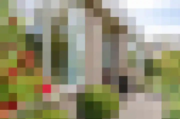 Het Anker 7 Leek thumbnail 20