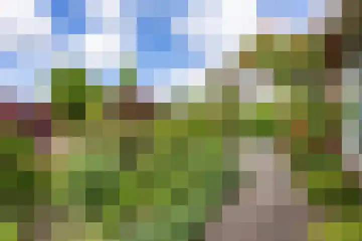 Het Anker 7 Leek thumbnail 22
