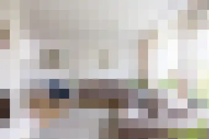 Het Anker 7 Leek thumbnail 28