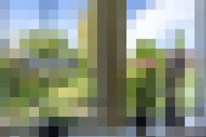 Het Anker 7 Leek thumbnail 35
