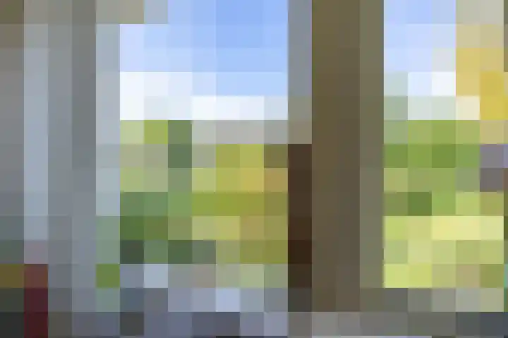 Het Anker 7 Leek thumbnail 36