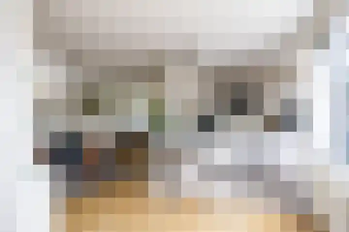 Het Anker 7 Leek thumbnail 37
