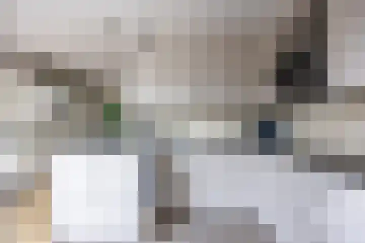 Het Anker 7 Leek thumbnail 38
