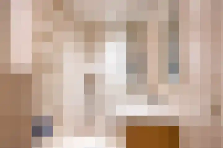 Het Anker 7 Leek thumbnail 4