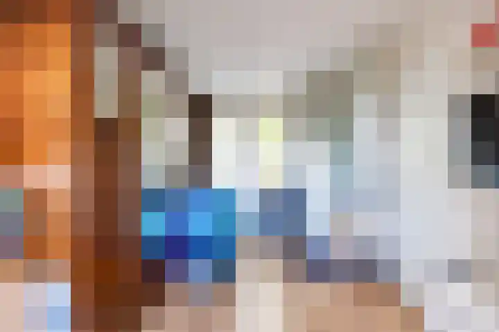 Het Anker 7 Leek thumbnail 42