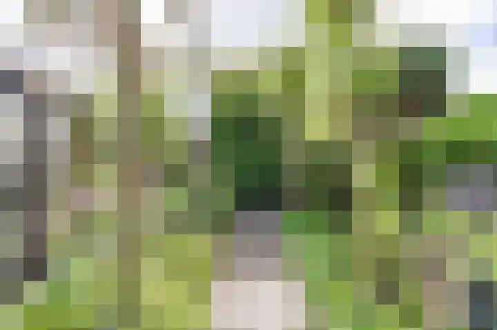 Het Anker 7 Leek thumbnail 48