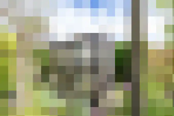 Het Anker 7 Leek thumbnail 49