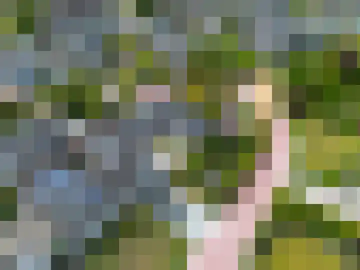 Het Anker 7 Leek thumbnail 5