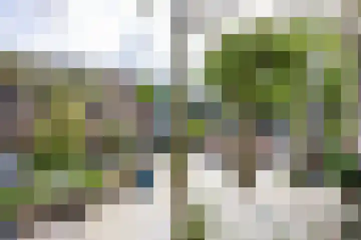Het Anker 7 Leek thumbnail 51