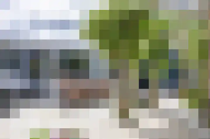 Het Anker 7 Leek thumbnail 53