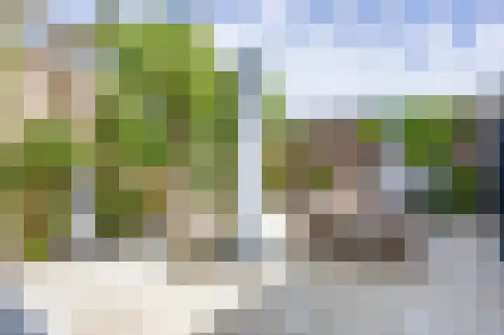 Het Anker 7 Leek thumbnail 56