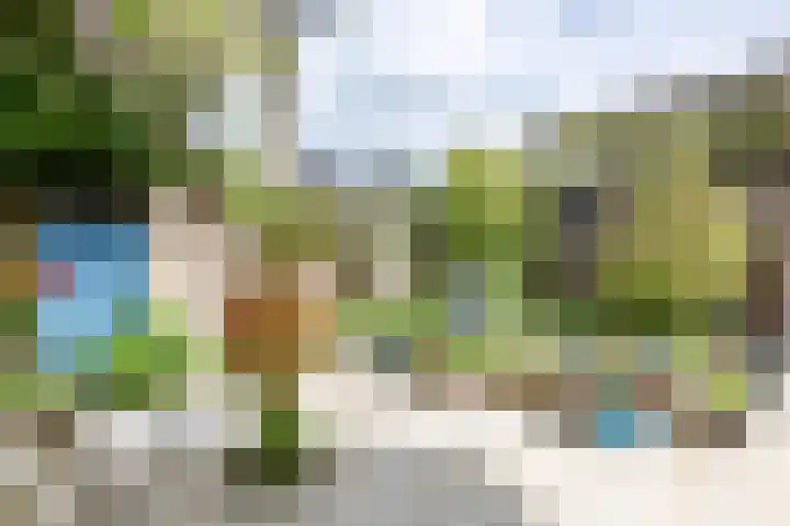 Het Anker 7 Leek thumbnail 57