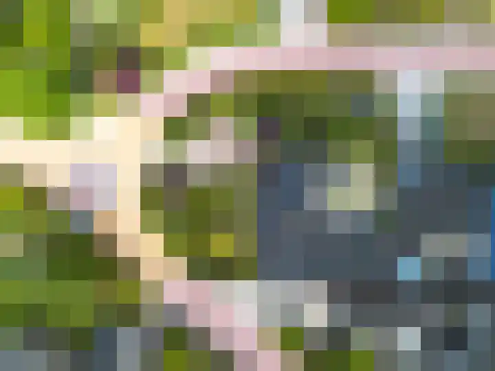 Het Anker 7 Leek thumbnail 58