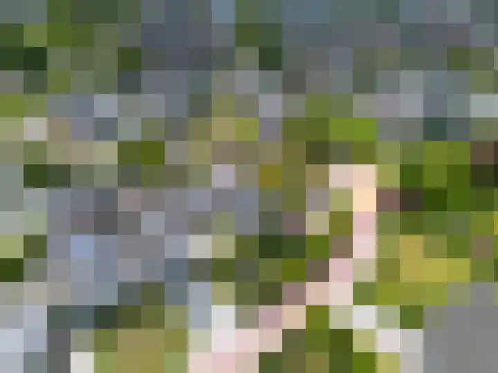 Het Anker 7 Leek thumbnail 59