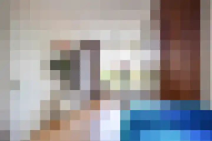 Het Anker 7 Leek thumbnail 6