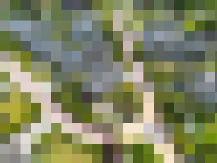 Het Anker 7 Leek thumbnail 60