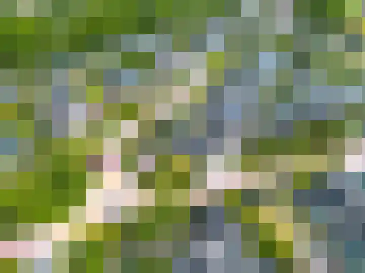 Het Anker 7 Leek thumbnail 61