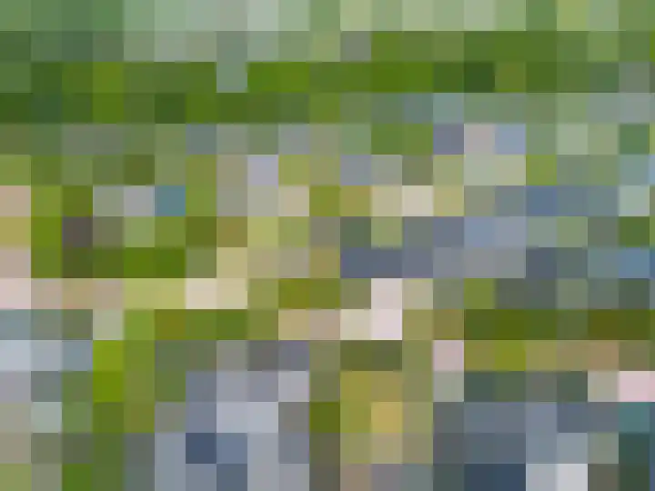 Het Anker 7 Leek thumbnail 62