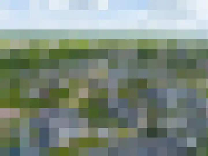 Het Anker 7 Leek thumbnail 63