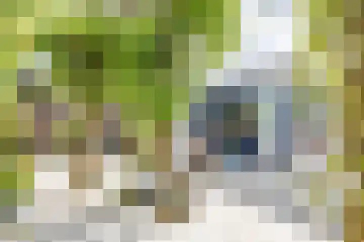 Het Anker 7 Leek thumbnail 7