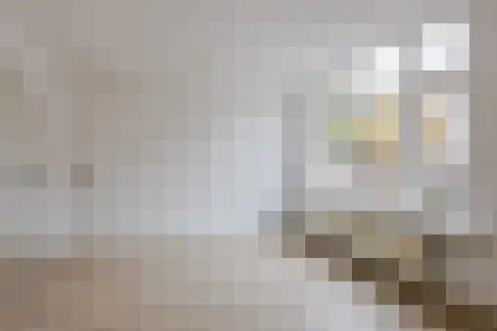 Het Anker 83 Hoogeveen thumbnail 15