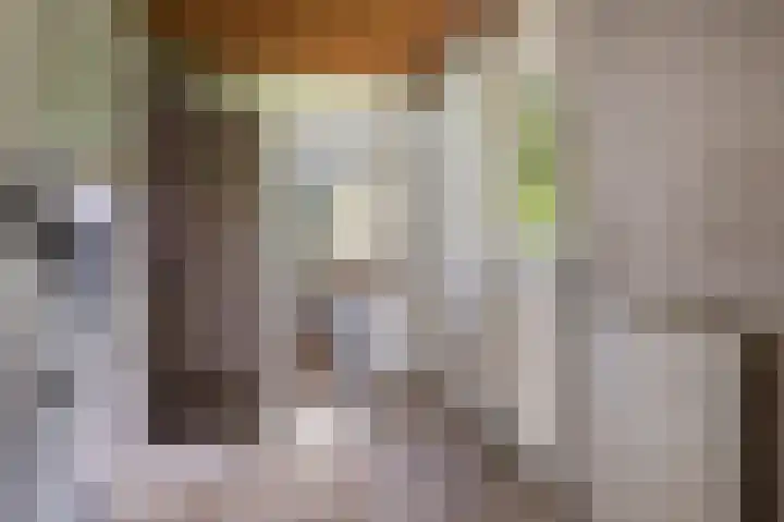 Het Anker 83 Hoogeveen thumbnail 7