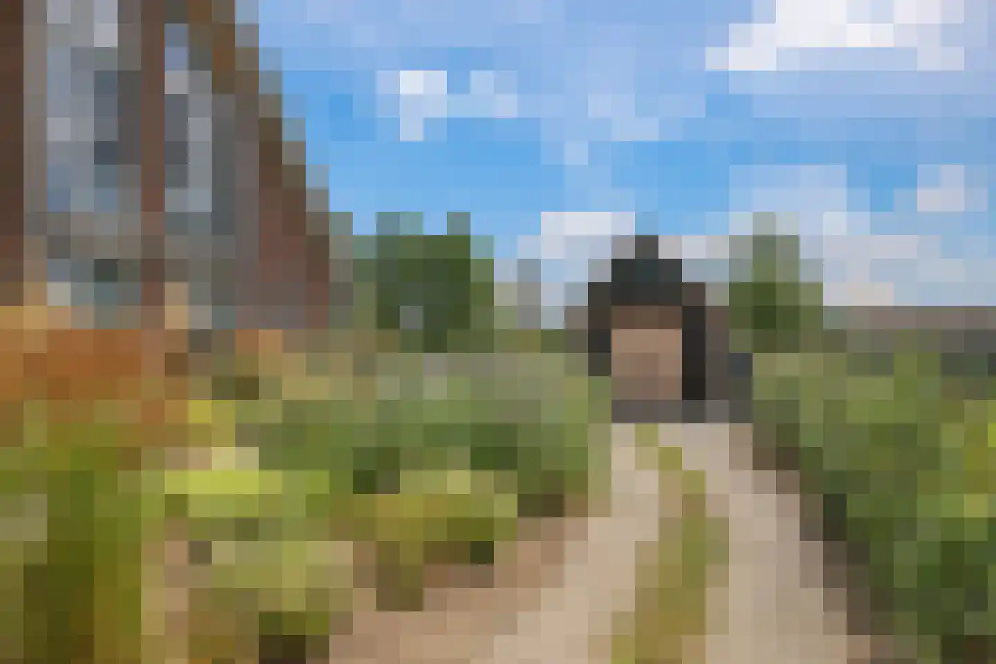 Het Antlant 4 Huissen thumbnail 101